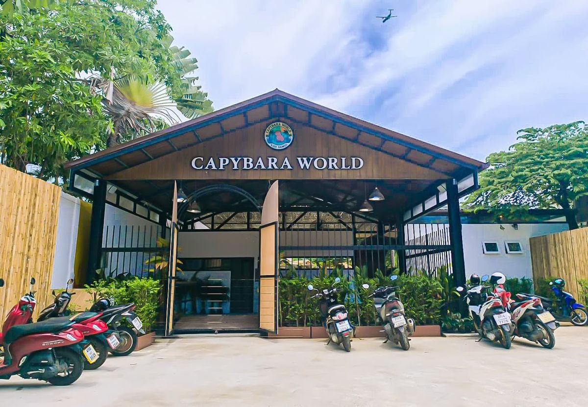 Capybara World Koh Samui, Koh Samui