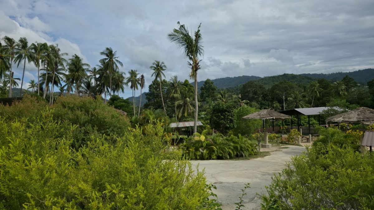 Elephant Jungle Sanctuary Samui (Soi 1 Branch) photo 2