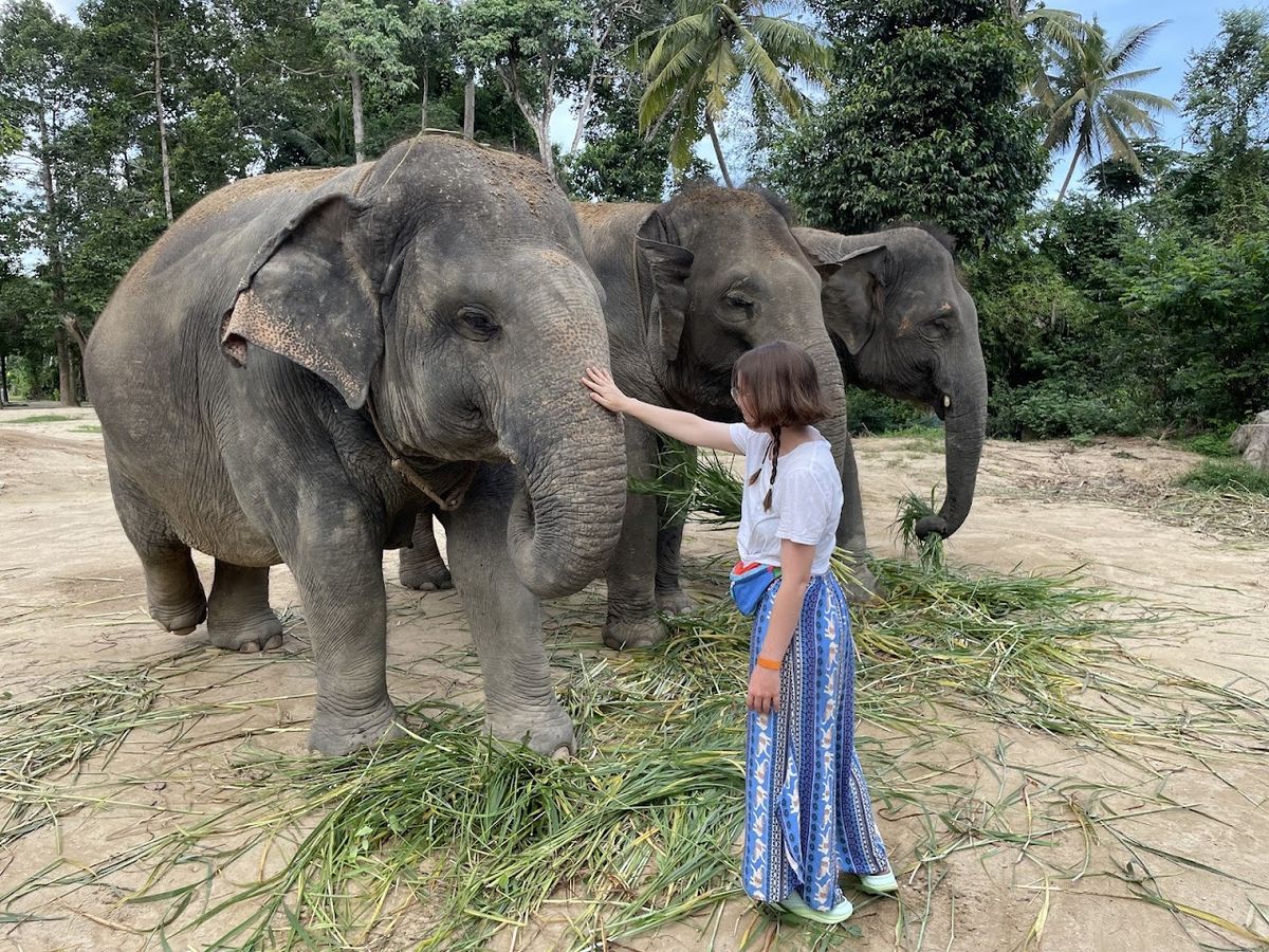 Elephant Jungle Sanctuary Samui (Soi 2 Branch), Koh Samui