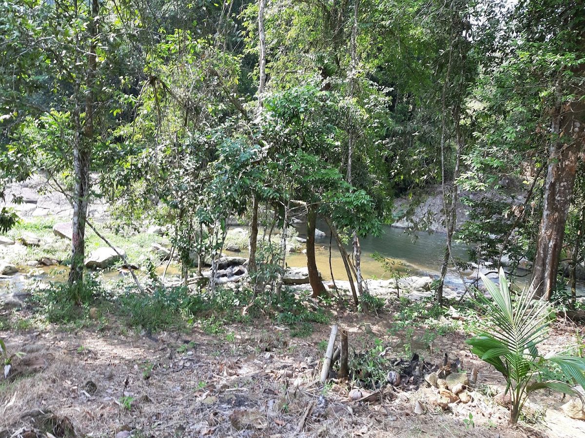 Mountain Waterfall photo 4