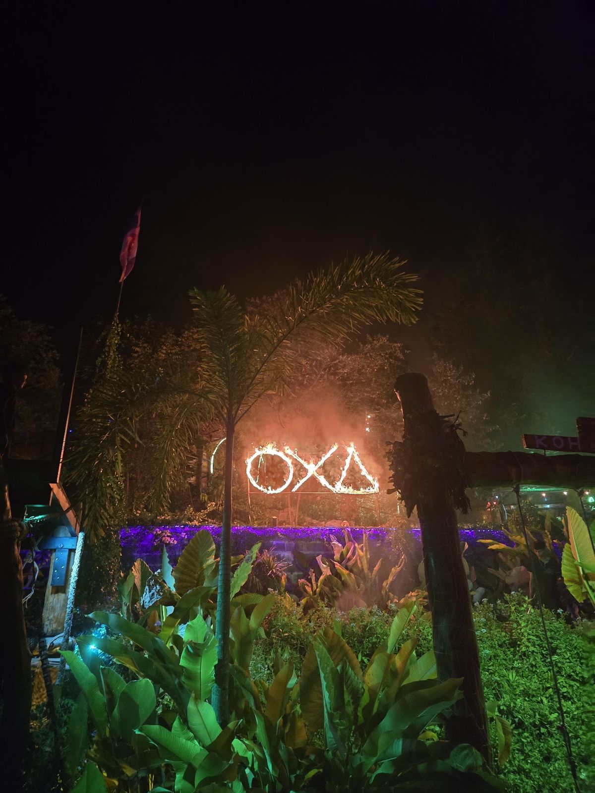 OXA - Jungle Party photo 4