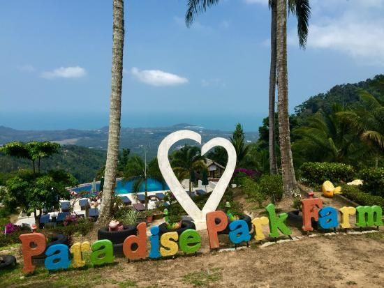 Paradise Park​ Farm photo 3
