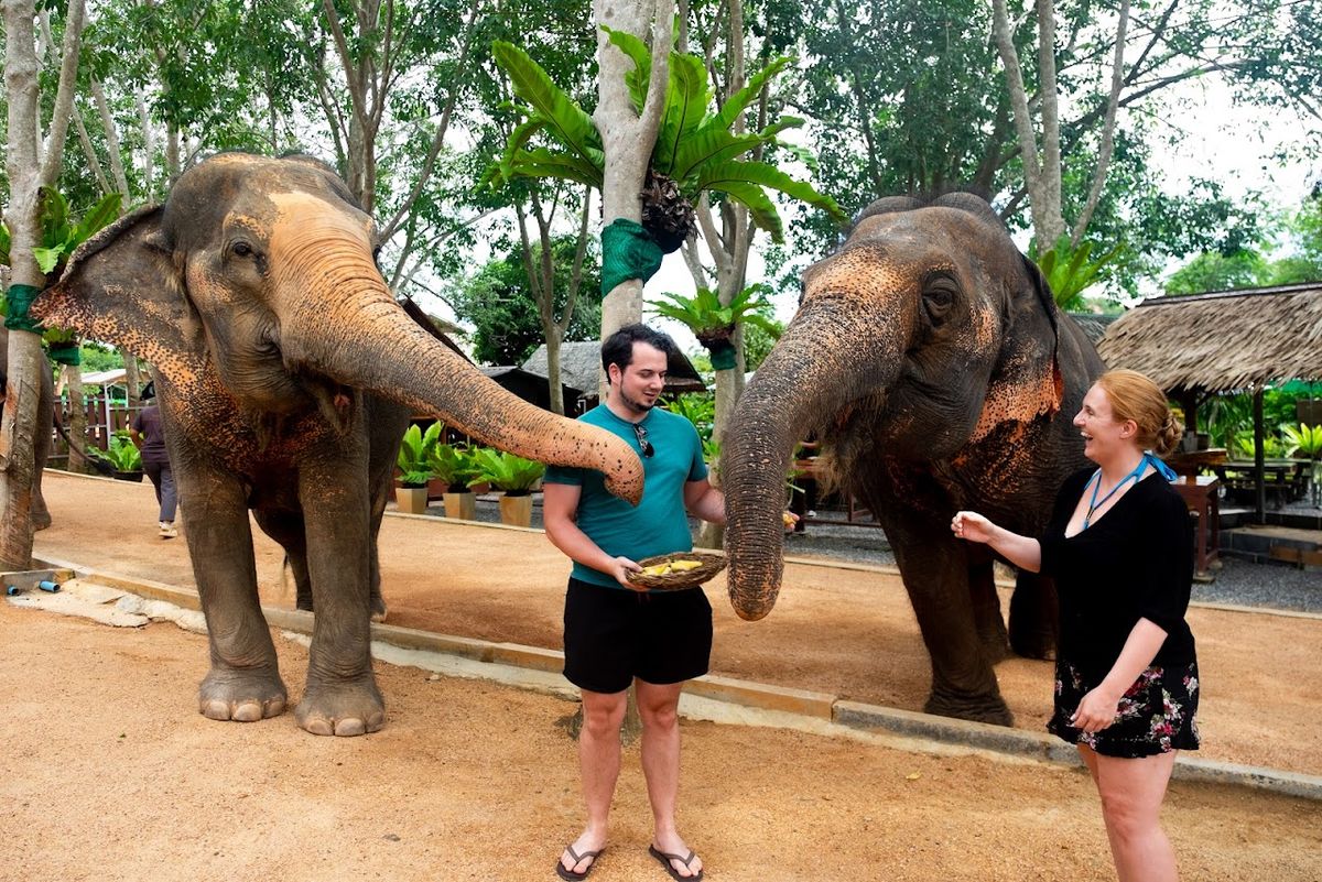 Samui Elephant Home photo 2