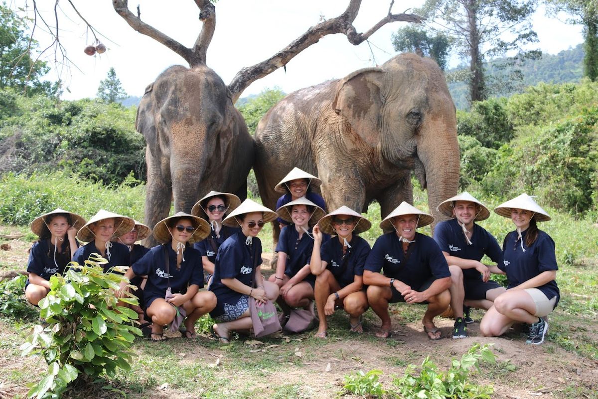 Samui Elephant Home, Koh Samui