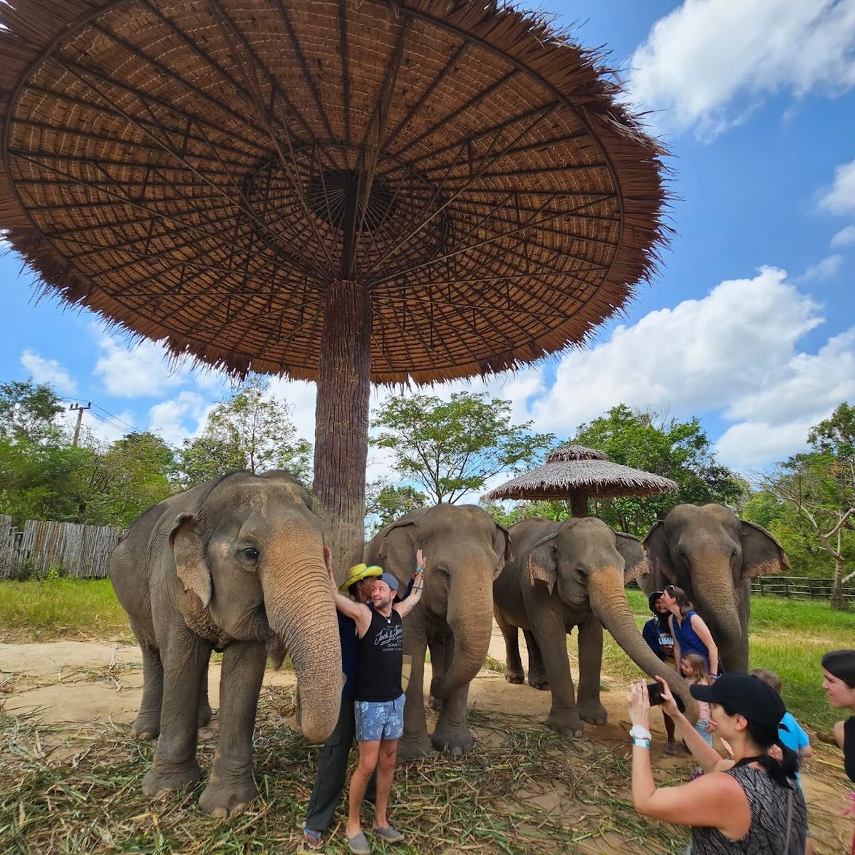 Samui Elephant Kingdom Sanctuary photo 2