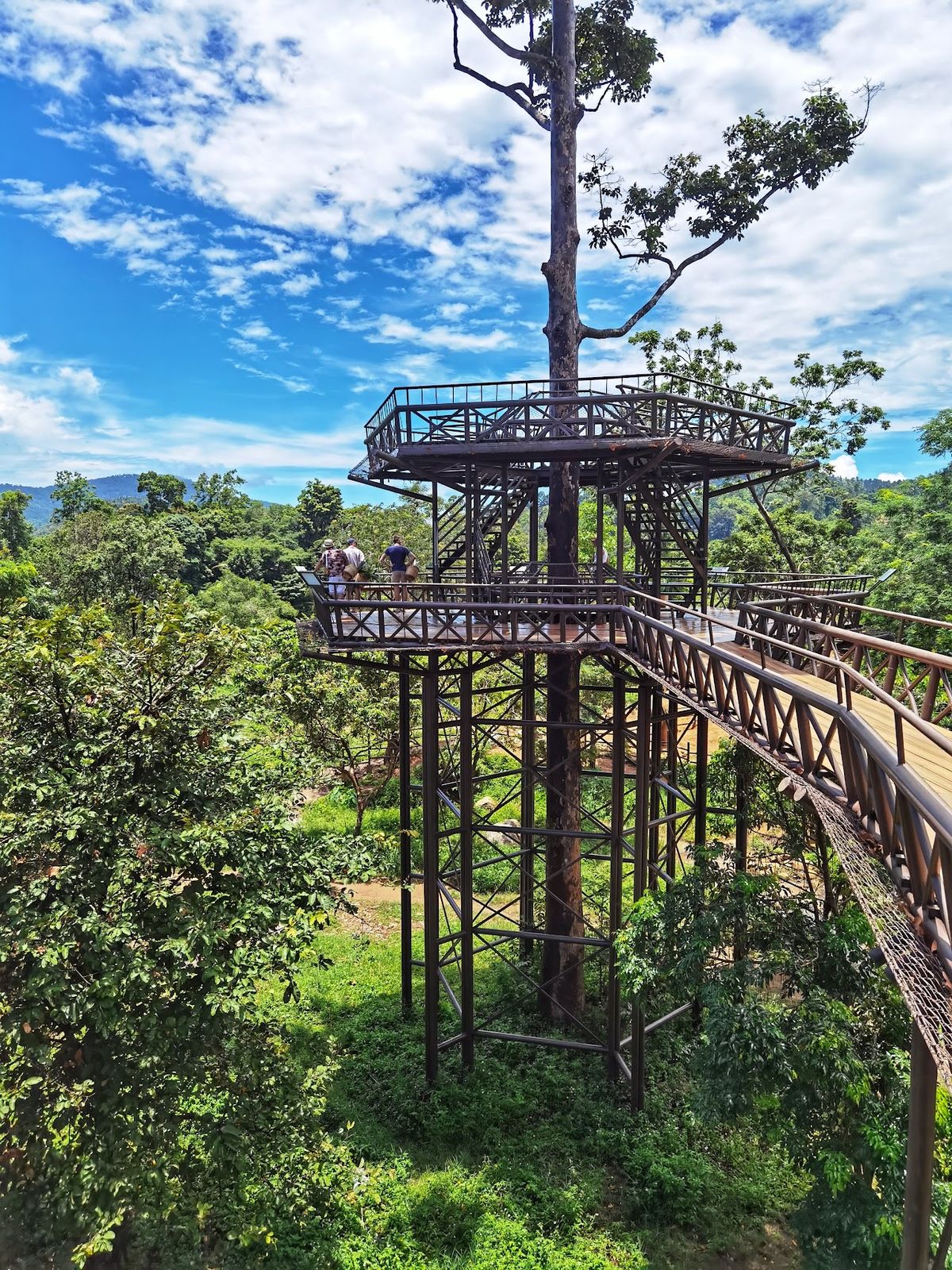 Samui Elephant Kingdom Sanctuary photo 4