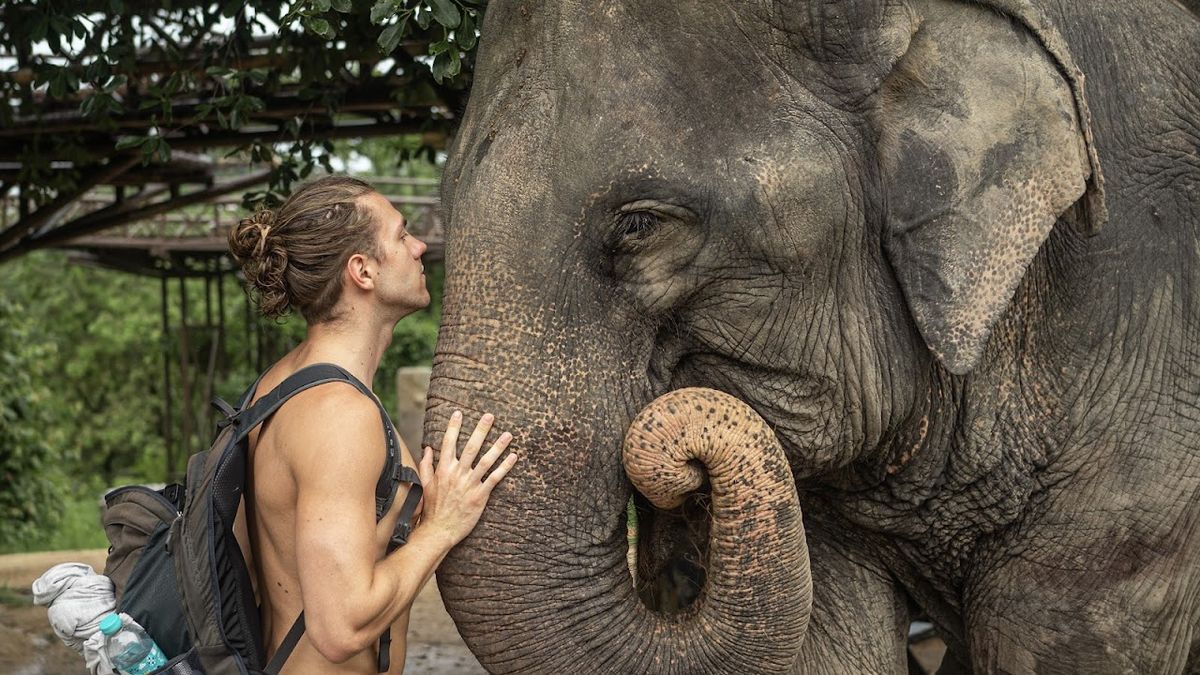 Samui Elephant Kingdom Sanctuary, Koh Samui