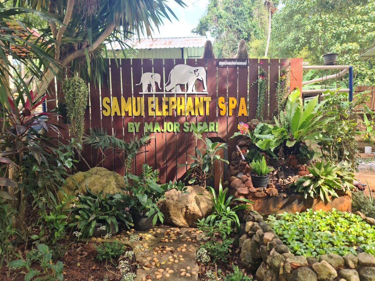 Samui Elephant Spa photo 2