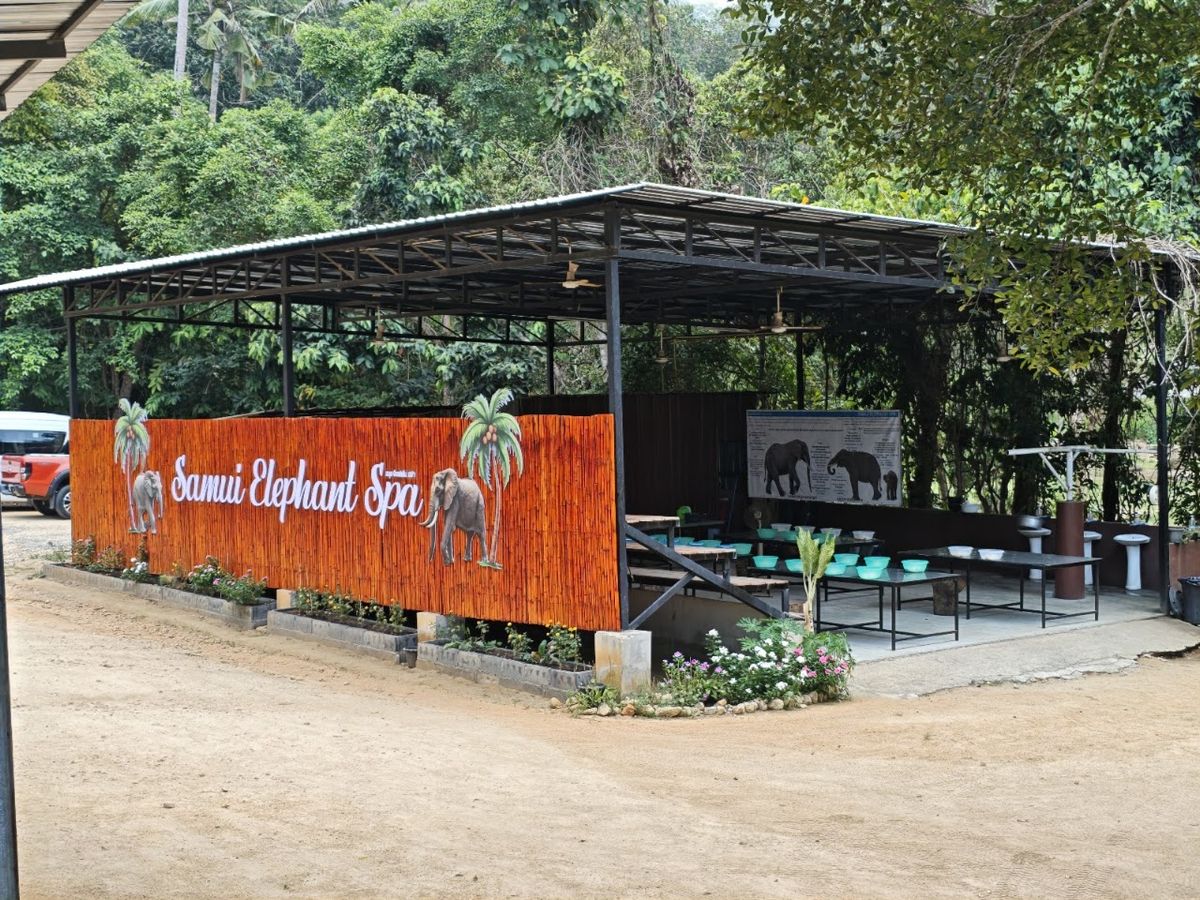 Samui Elephant Spa photo 4