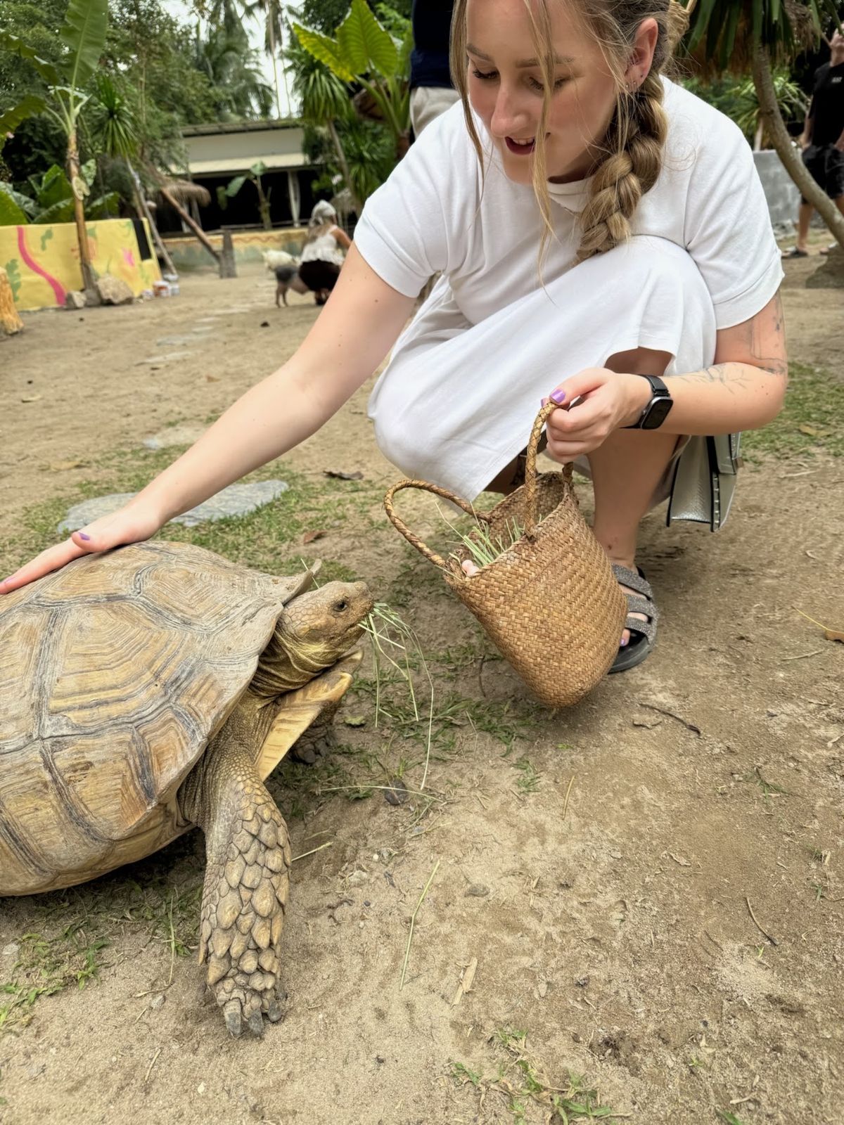 Samui exotic park photo 2