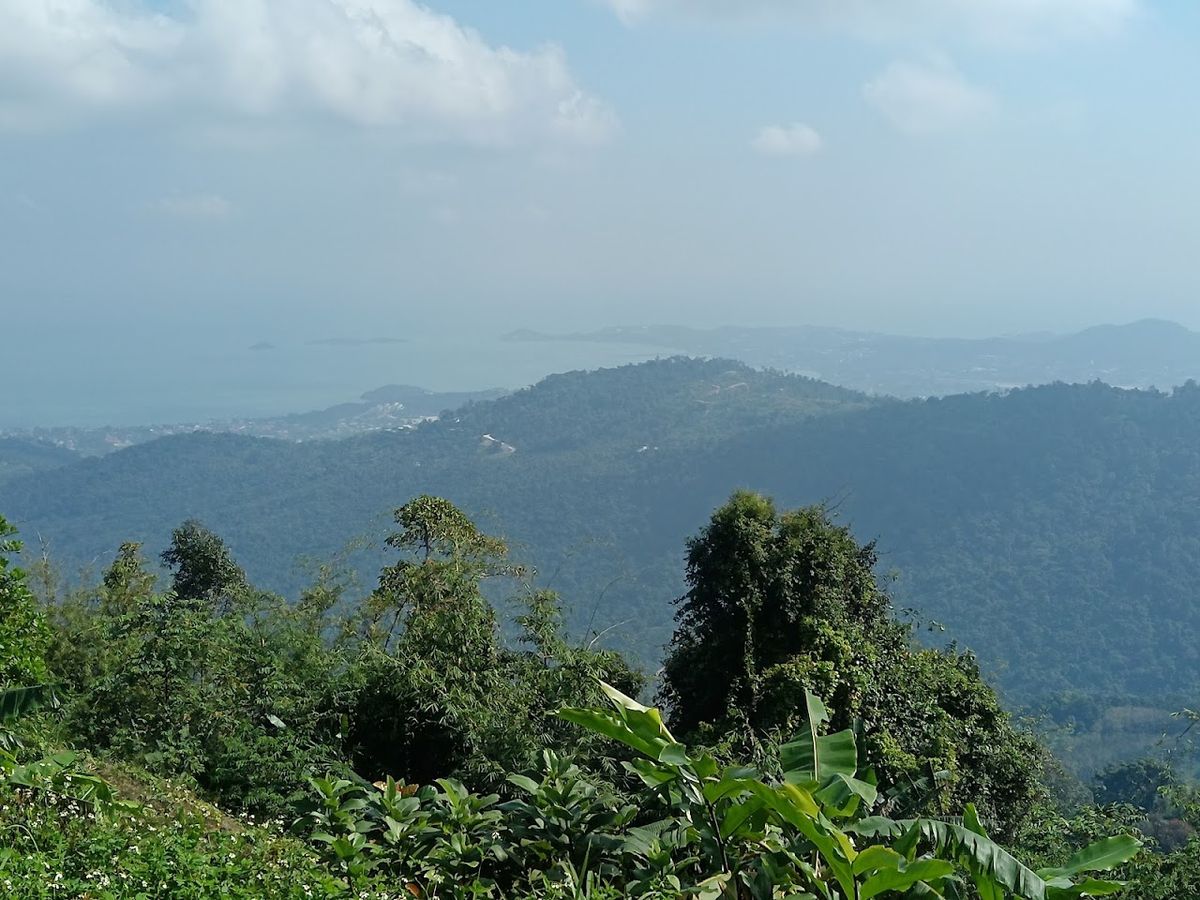 Samui View Point photo 2