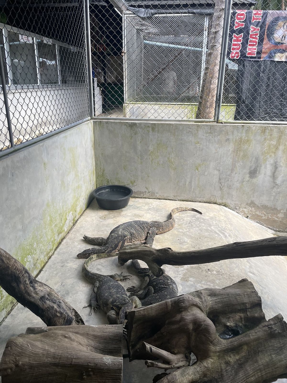 Snake Show Center Na Mueang photo 4
