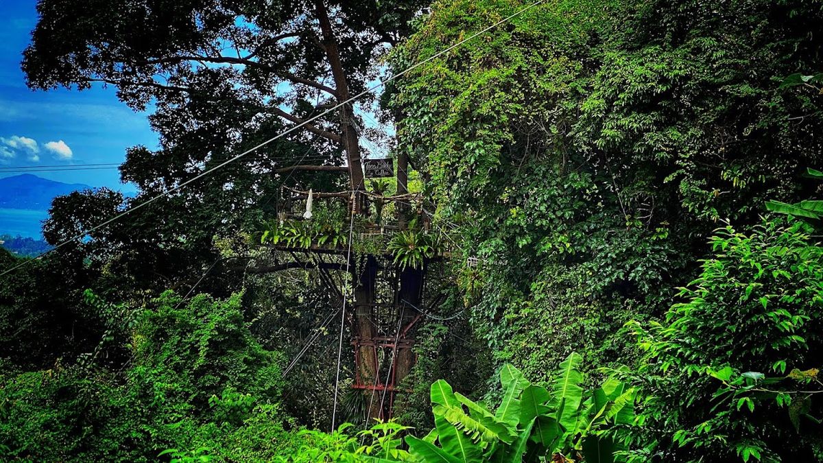 Tan Rua Waterfall photo 3