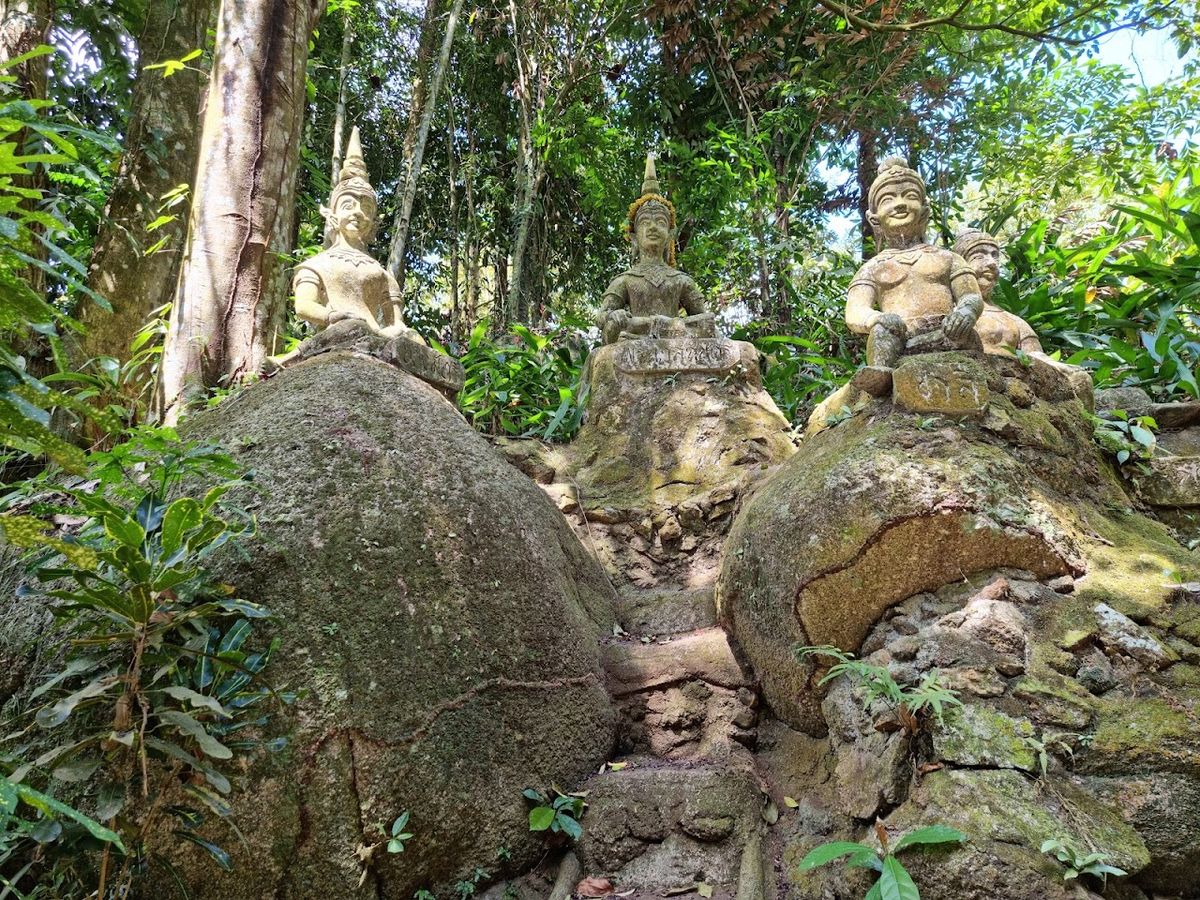 Tarnim Magic Garden photo 3