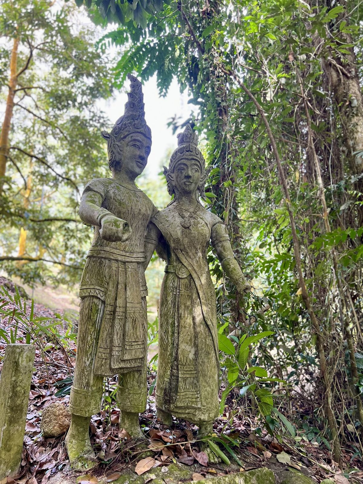 Tarnim Magic Garden photo 4