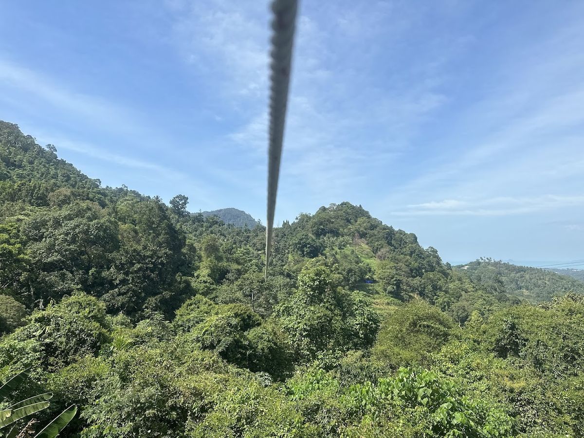 Tree Bridge Zipline Samui, Koh Samui