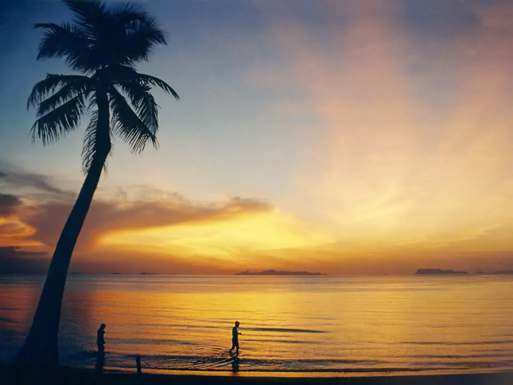 Sunset at Lipa Noi on the west coast of Koh Samui, palm silhouettes in the foreground and islands on the horizon