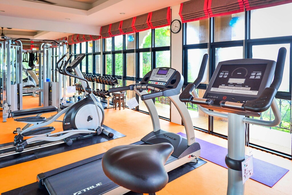 Fitness room at Absolute Sanctuary, with weight machines and a window toward the trees