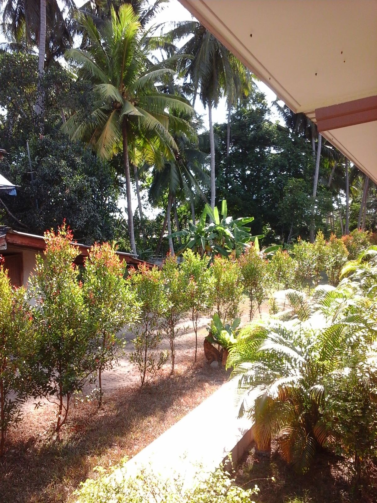 Goodwill Bungalow room interior in Nathon