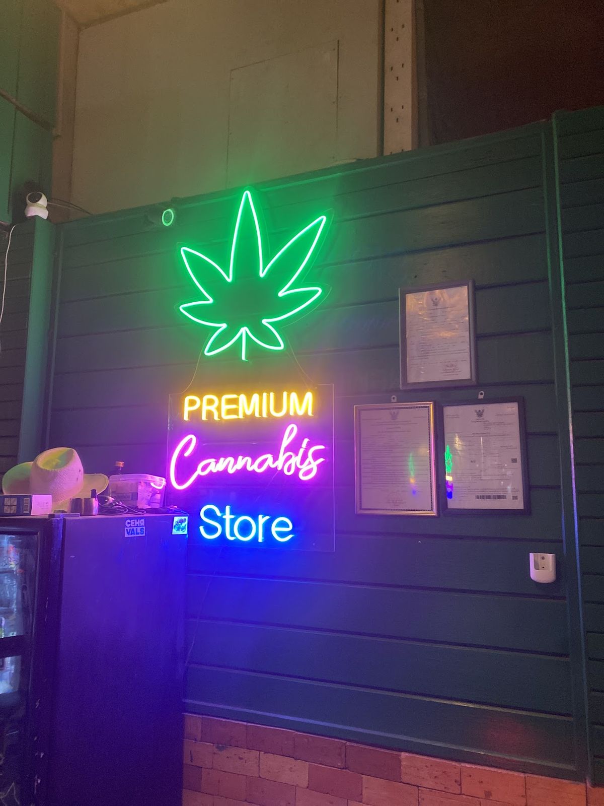 Noah’s Ark Cannabis Bar Restaurant HOSTEL room interior in Lamai