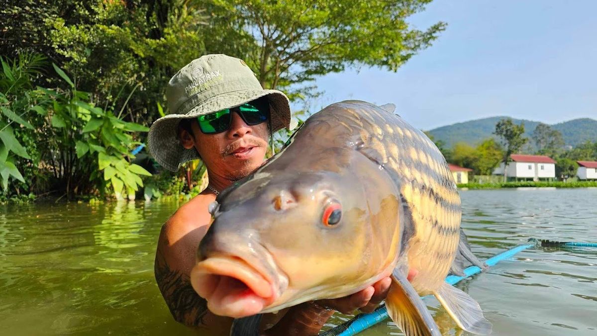 TopCats exterior in Lipa Noi